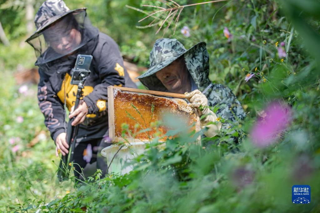 威尼斯人登入